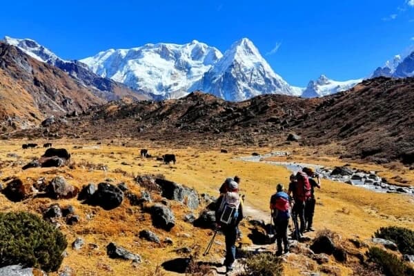 kanchenjunga-base-camp-trek