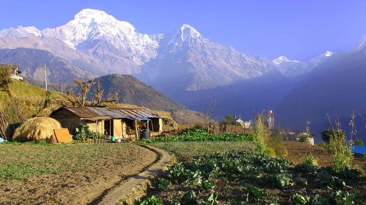 Annapurna View Trek