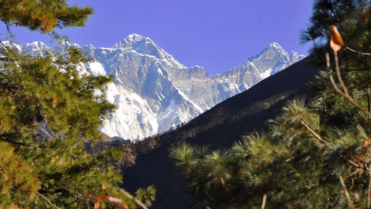 Everest Panorama View Trek