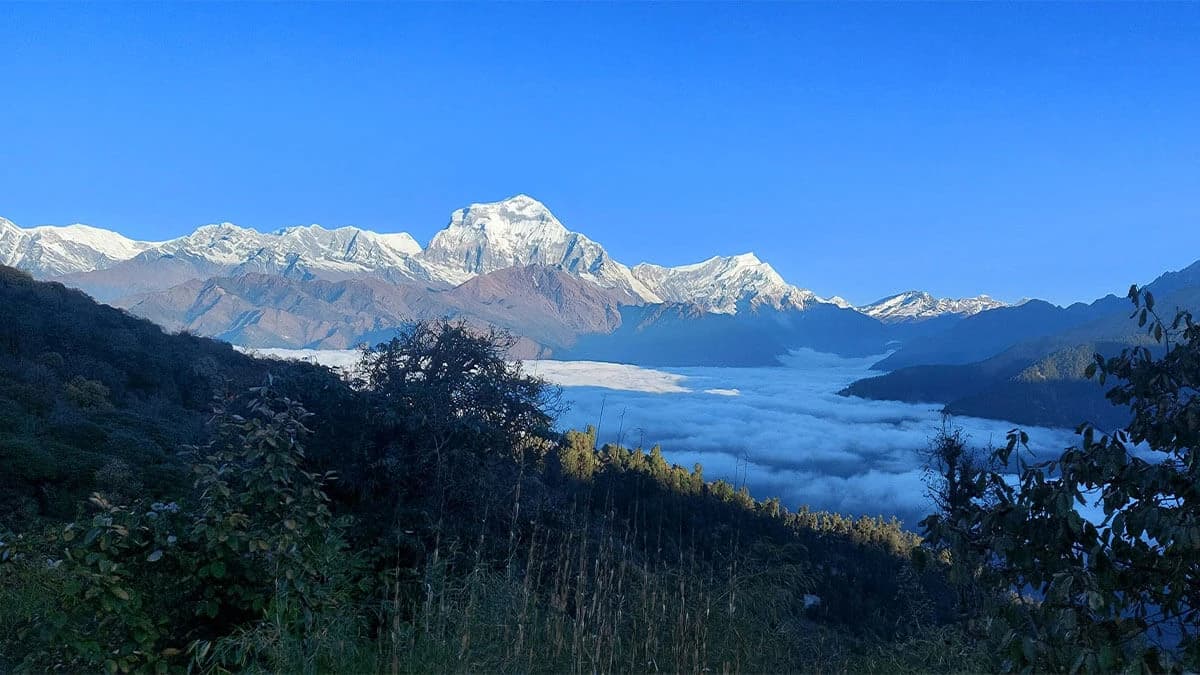 Sunrise view from Poon Hill