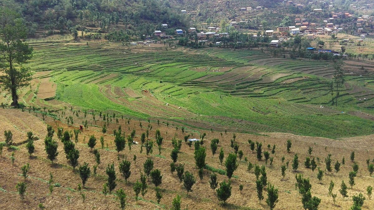 Hike to Nagarkot