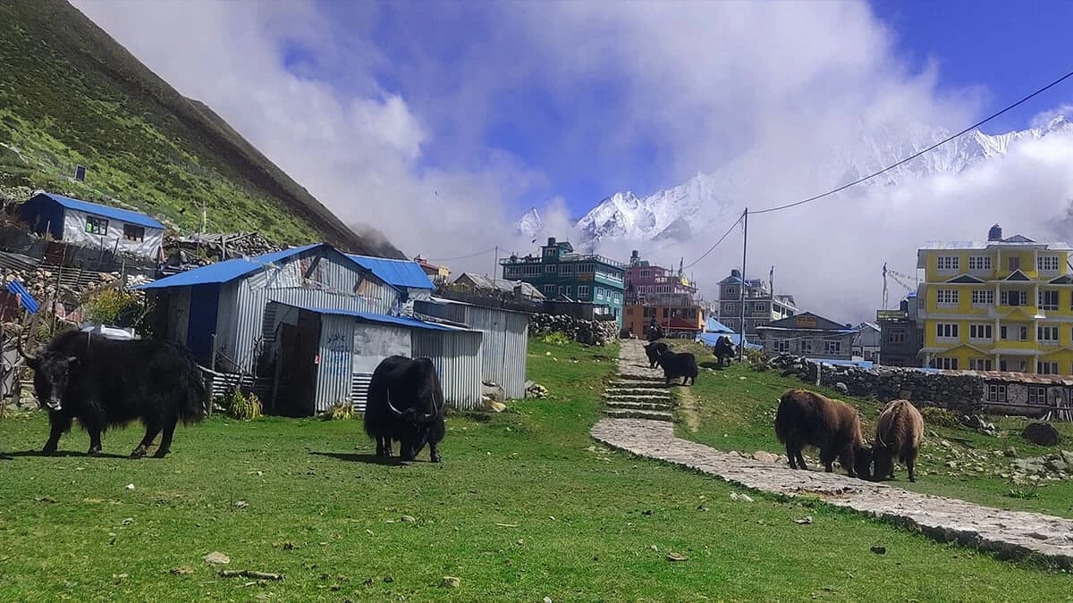 Langtang Valley Trek Route