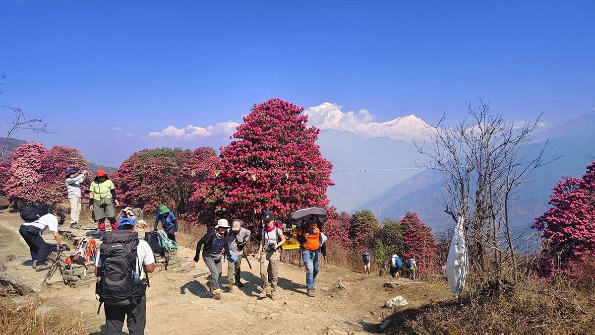 Spring season trekking in nepal