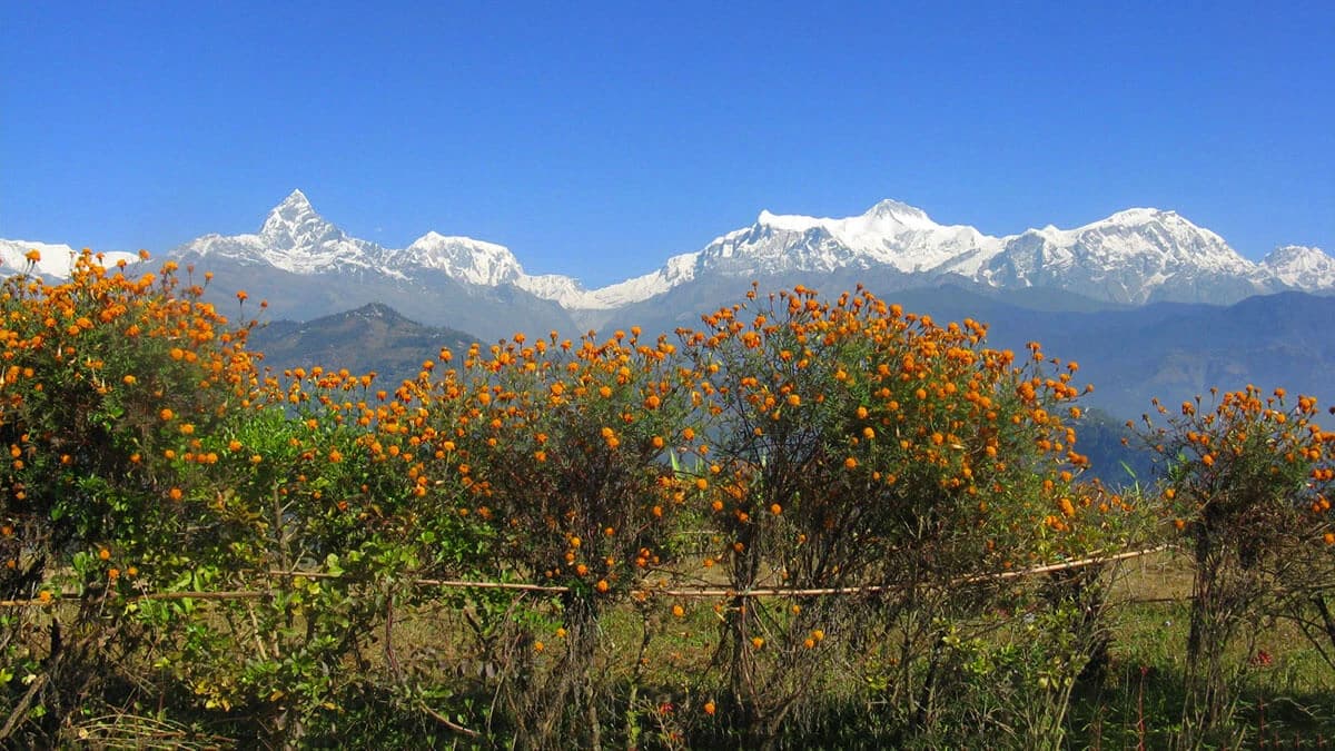 Tour in Nepal