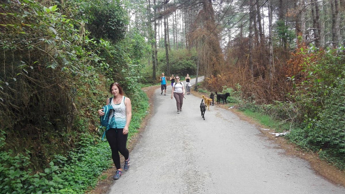 Trek in Kathmandu Valley