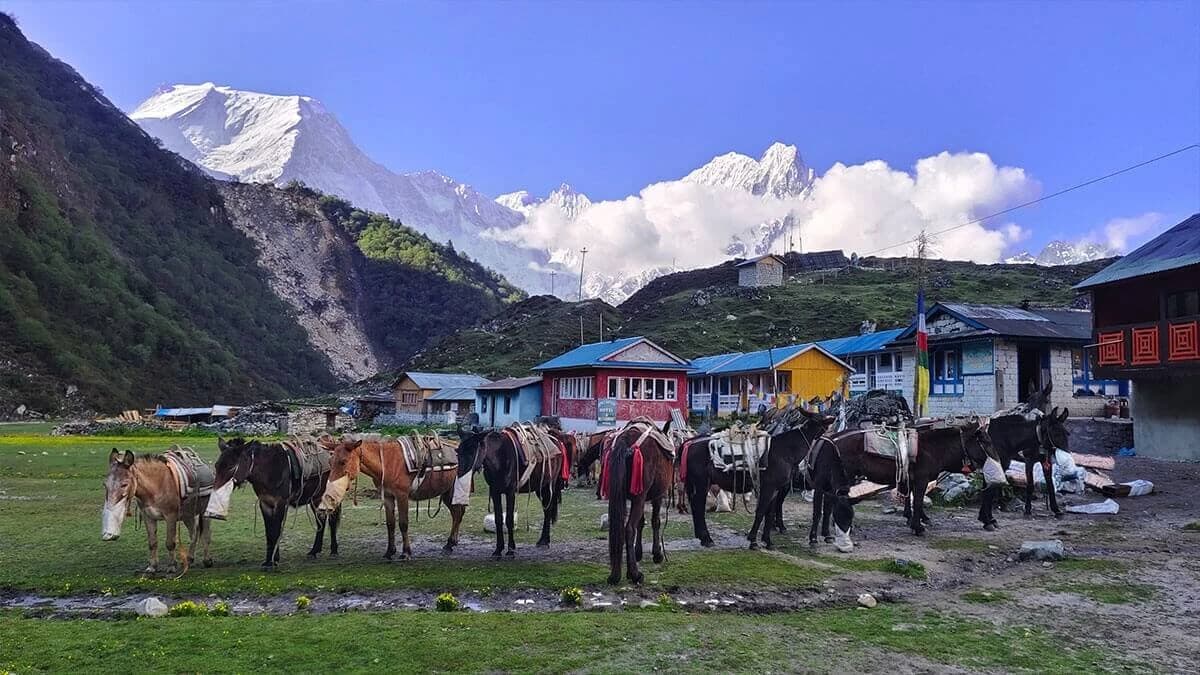 Trek to Manaslu Tsum Valley