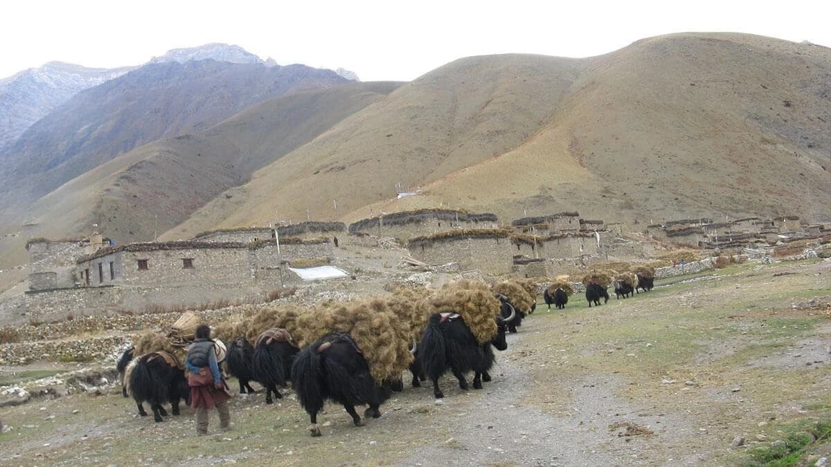 Trekking to Lower Dolpo