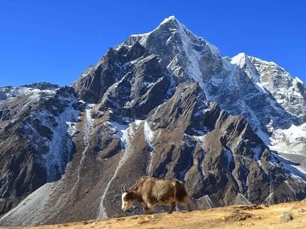 Everest Three High Passes Trekking