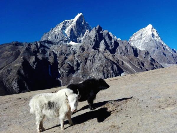 Everest Base Camp Hike