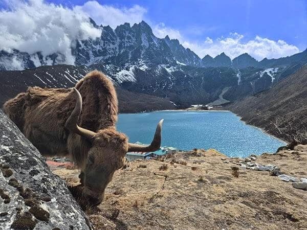 Gokyo EBC Trekking