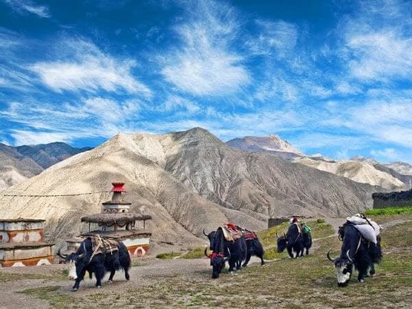 Upper Dolpo Trekking