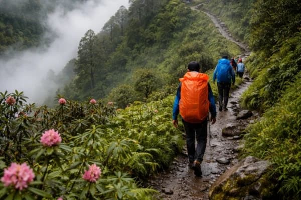 mardi-himal-trek-in-monsoon