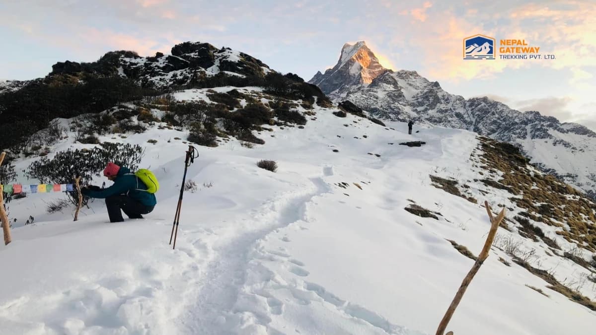 Mardi Himal Trek Cost