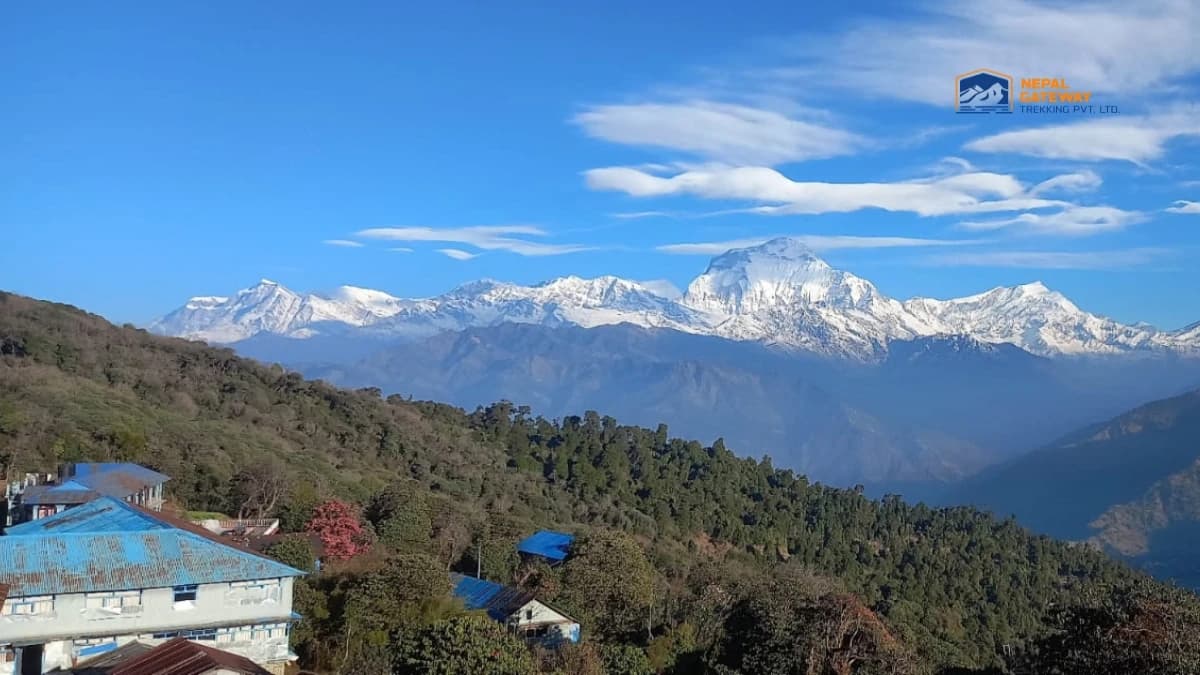 Ghorepani Poonhill Trek Map