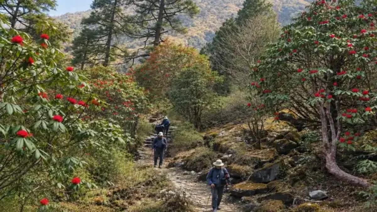 langtang-trek-update