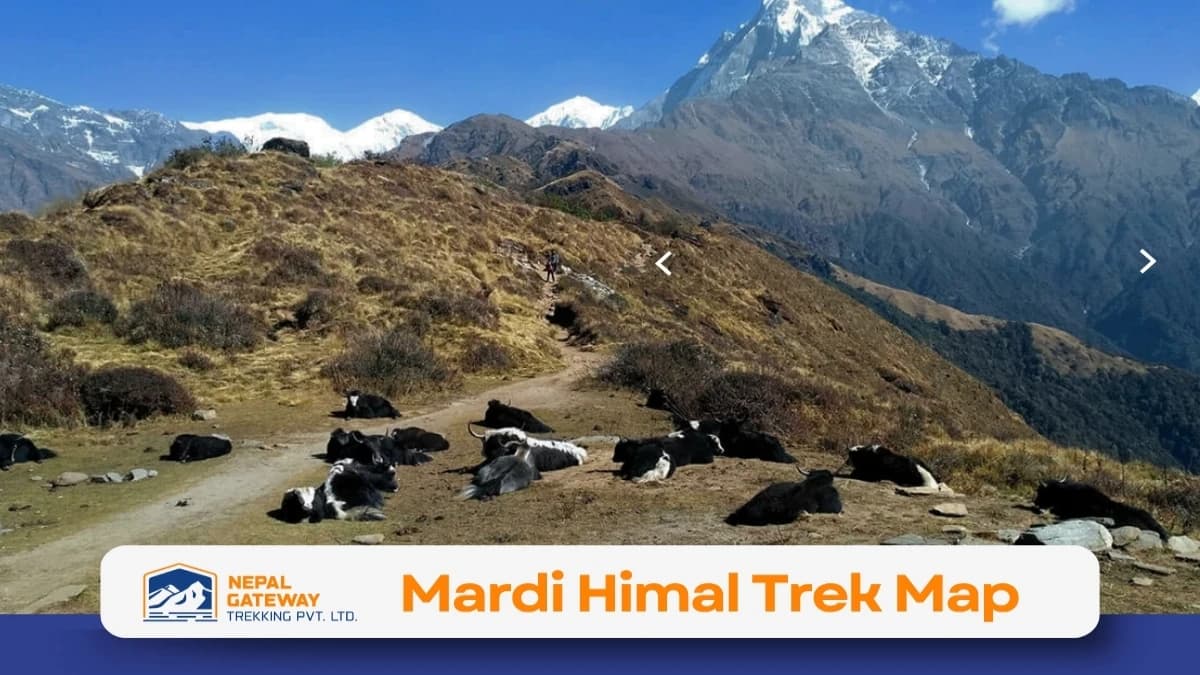 mardi-himal-trek-map