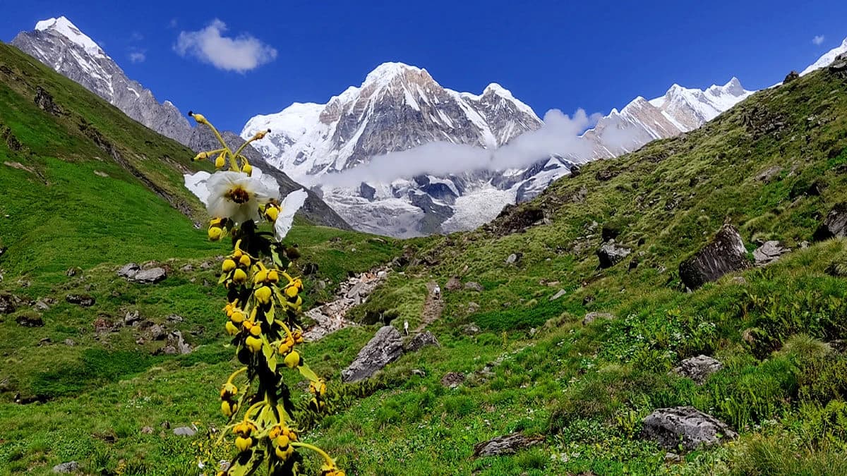 monsoon-season-trekking-in-nepal