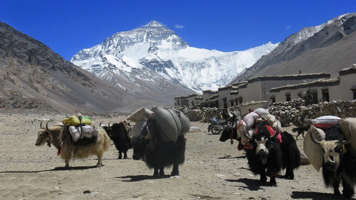 Mount Everest Overland Tour in Tibet
