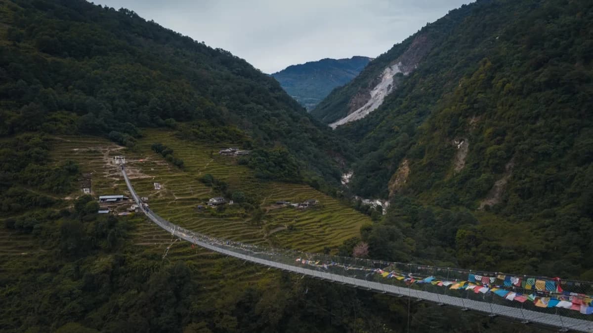 suspension-bridge-in-jhinu-danda
