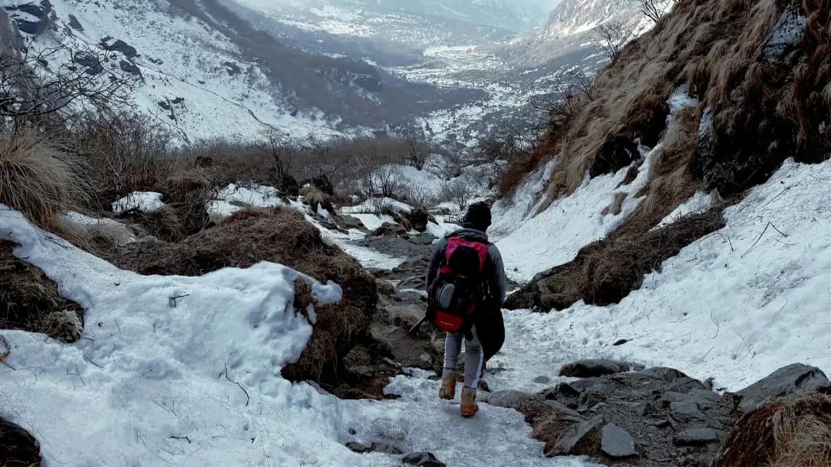 trek-in-nepal