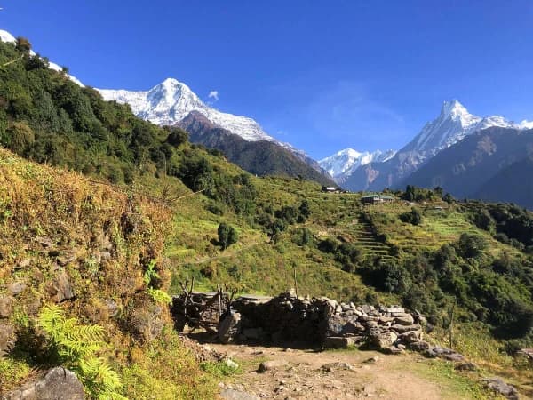 Annapurna Panorama Trek Stunning Himalayan Vista
