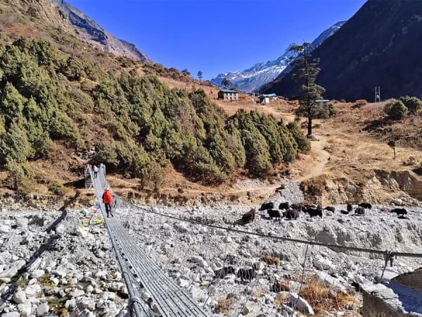 Crossing Suspension Bridge In Rolwaling Valley Trek