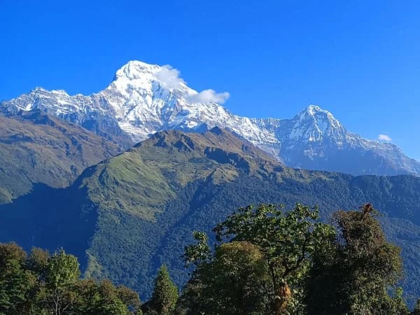 Diverse Landscapes Encountered During The Annapurna Base Camp Trek From Lush Forests To Snowy Peaks