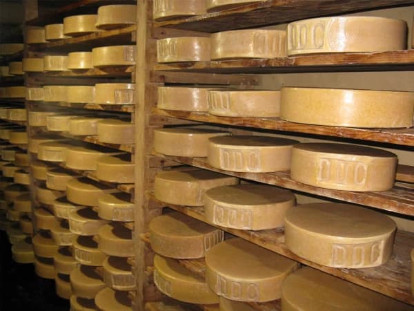 Fresh Yak Cheese