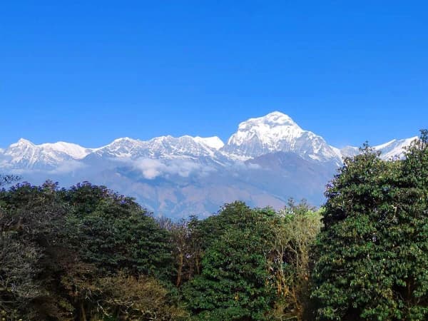 Golden Sunrise Over The Himalayas