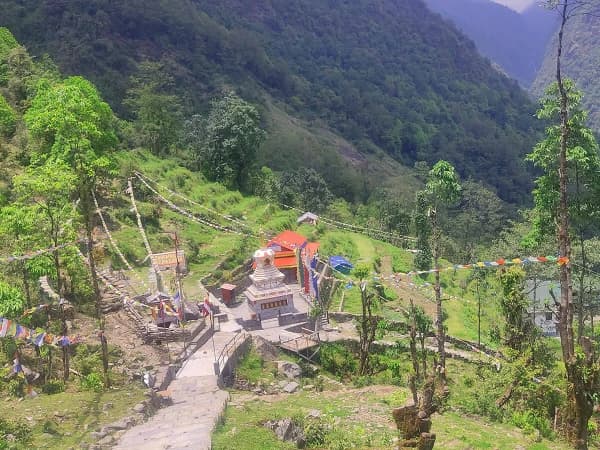 Steep Stone Steps Leading Up The Annapurna Base Camp Trail Surrounded By Lush Greenery