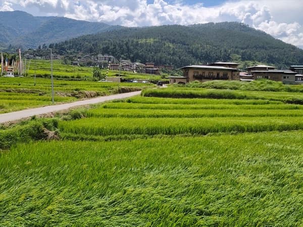 Western Bhutan Tour