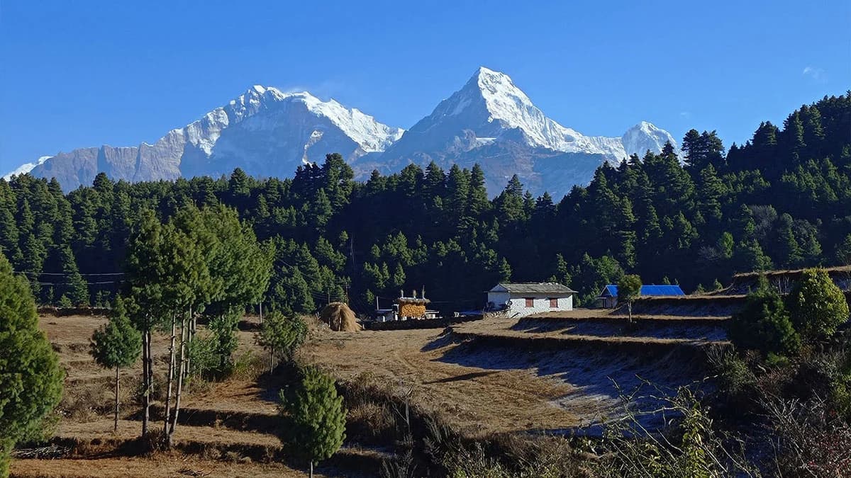 Mohare Danda to Sacred Khopra Ridge Trek in Nepal