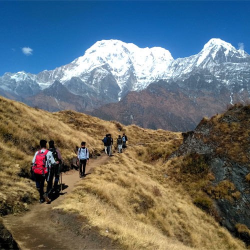 Mardi Himal Trekking in Nepal