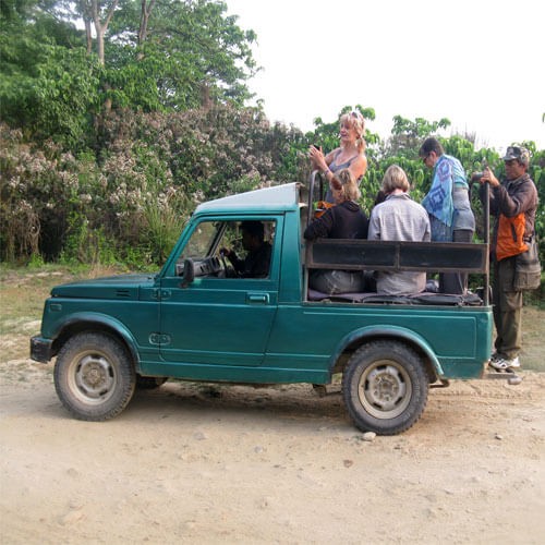Jungle Safari tour in Nepal